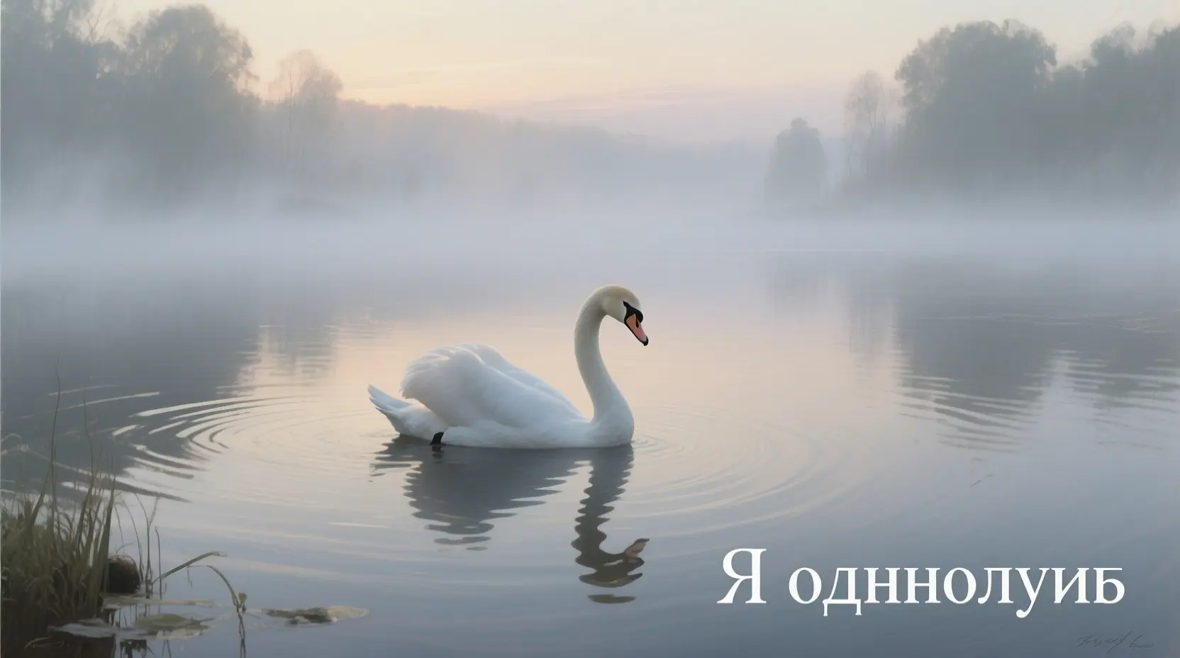 Я однолюб. Может быть это и прекрасно, но с другой стороны - это очень плохо