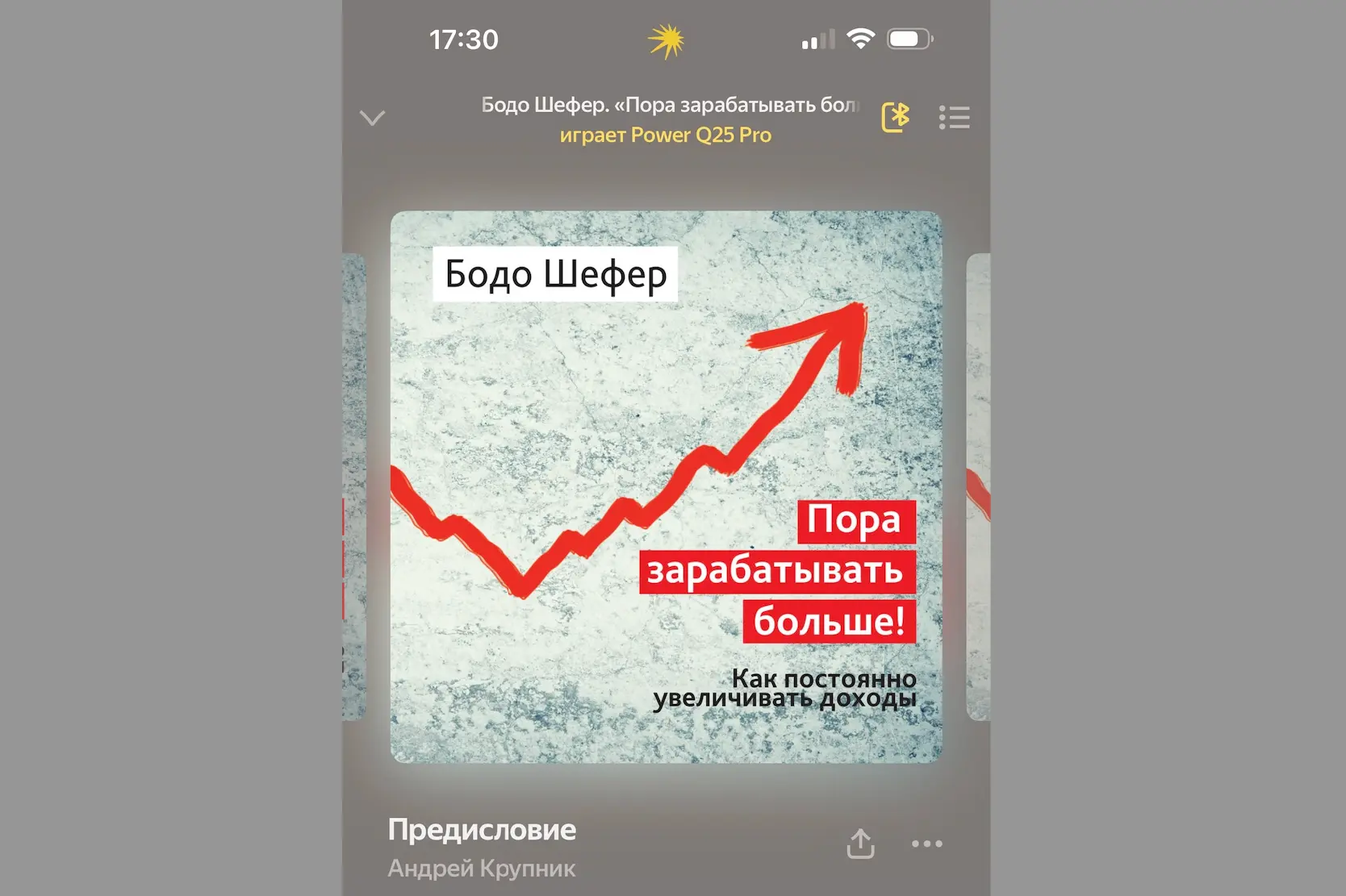 Обзор на книгу Бодо Шефера - «Пора зарабатывать больше! Как постоянно увеличивать доходы»