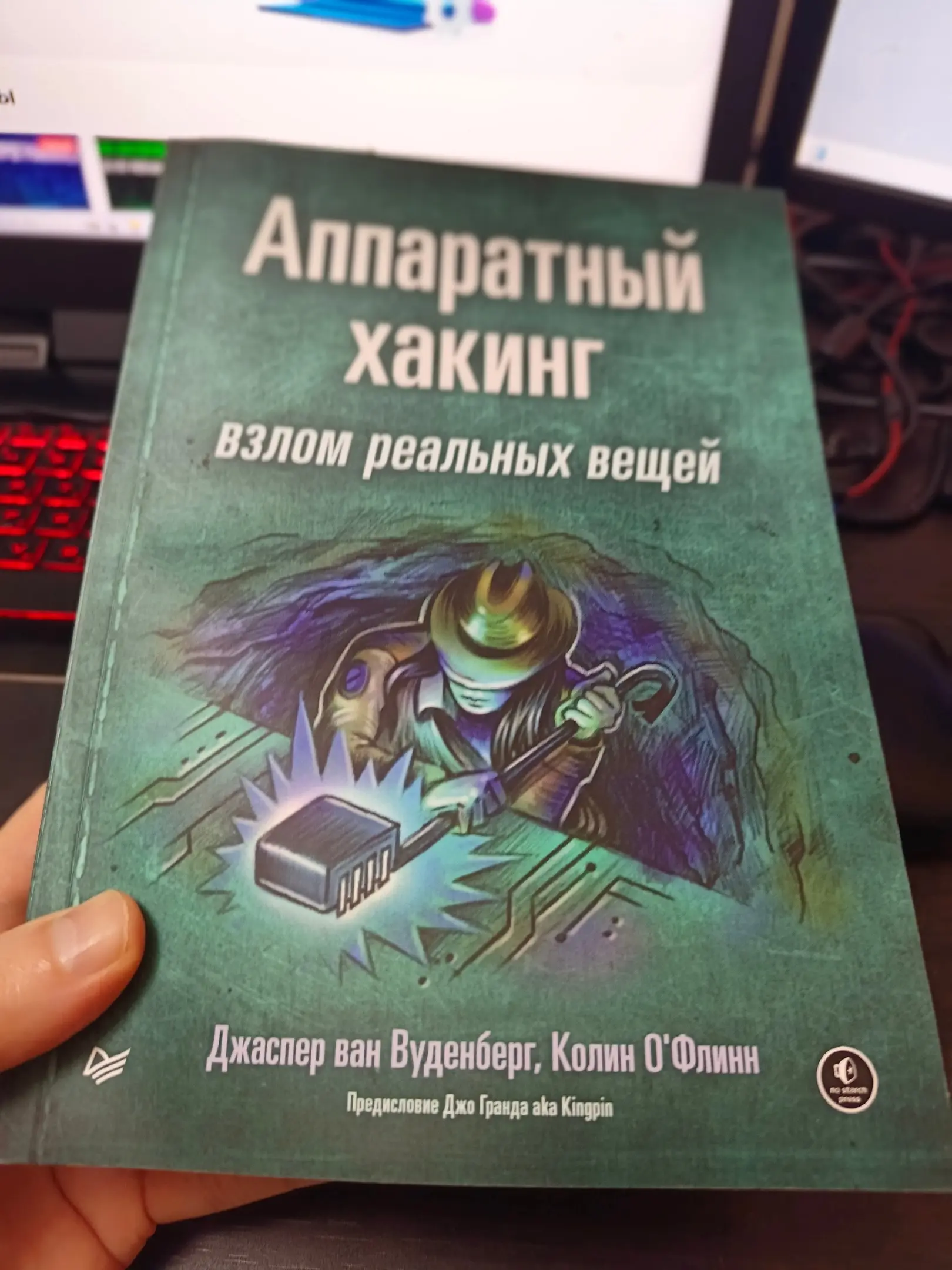 Обзор книги Вуденберга Джаспера Вана, О’Флинна Колина – «Аппаратный хакинг: взлом реальных вещей»