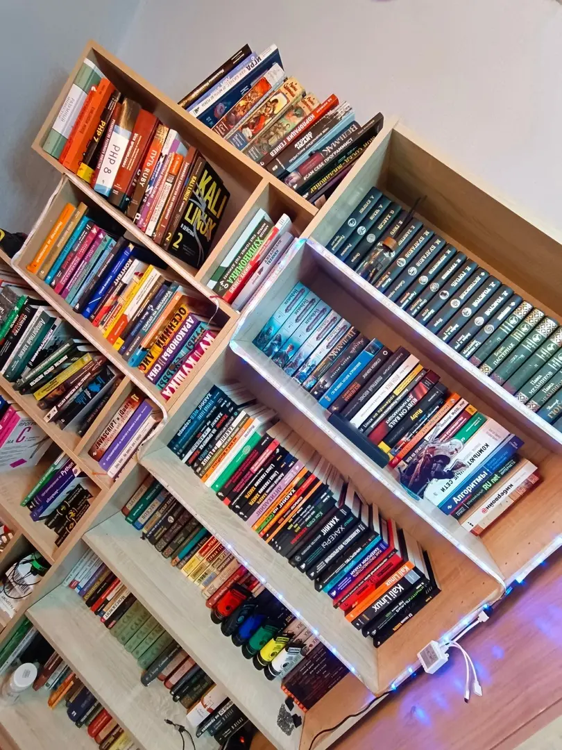 От 310 до 3000 книг: Мой путь к созданию мечты – домашней библиотеки